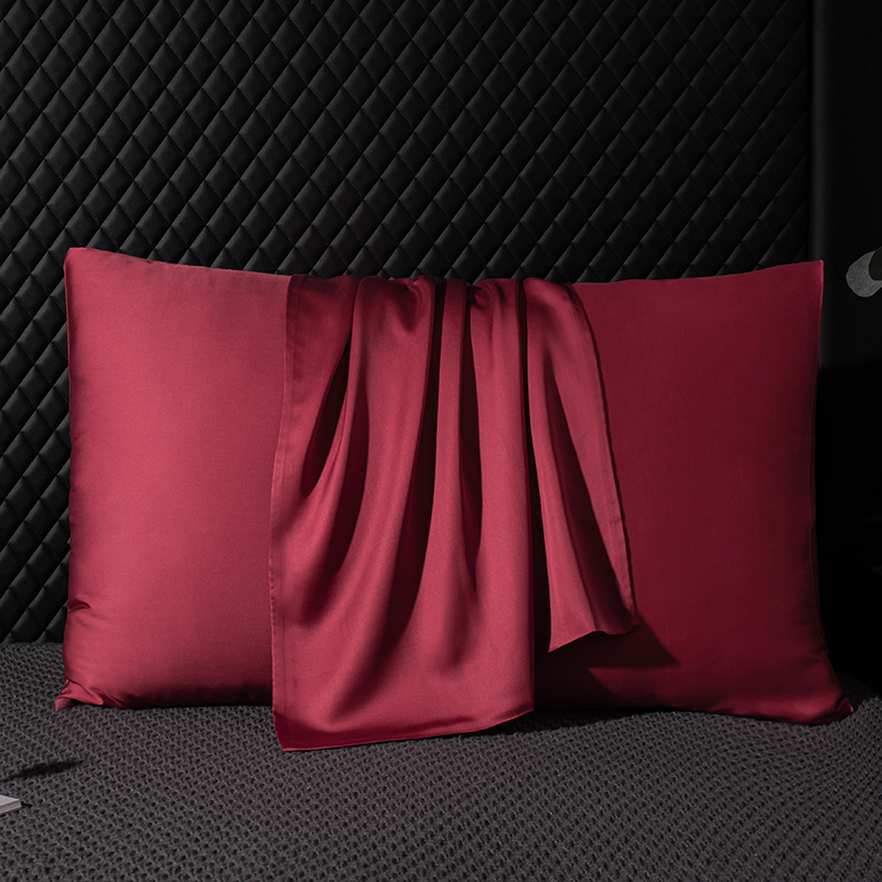 Real Mulberry Silk PillowCase  - Silk Pillowcase Set recension och pris